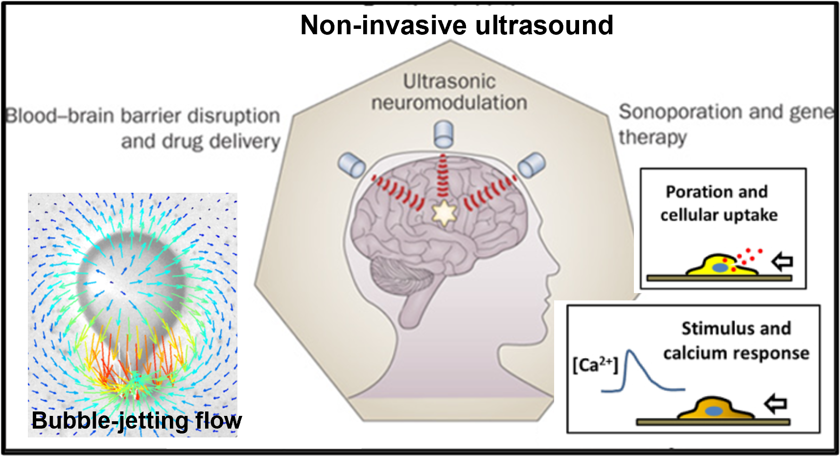 Li Laboratory / Biomedical Ultrasound and Microfluidics